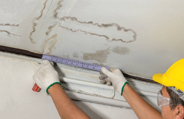 Affordable Water Damage Repair solutions in Man, WV